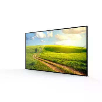 Monitor profesjonalny 43 cale