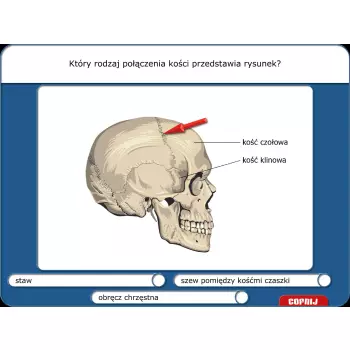 Didakta - Biologia 1
