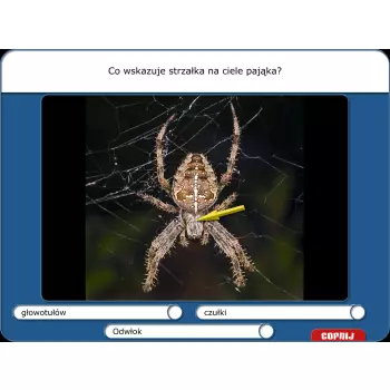 Didakta - Biologia 2