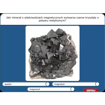 Didakta - Przyroda nieożywiona i ekologia