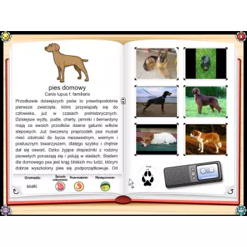 Didakta - Mądrala na wsi