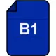 B1