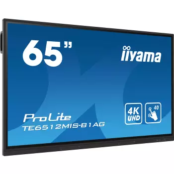 ProLite TE6512MIS-B1AG