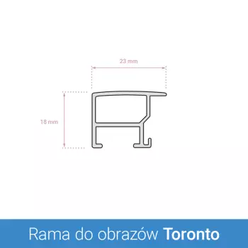 Rama aluminiowa Toronto
