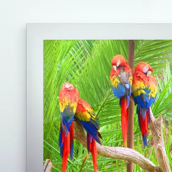 Rama aluminiowa Toronto