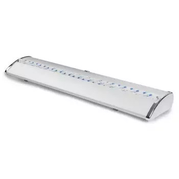 Roll Up Exclusive 85x200