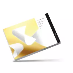 Papier do drukarek laserowych 100 x 100 g