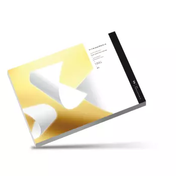 Papier do drukarek laserowych 100 x 100 g