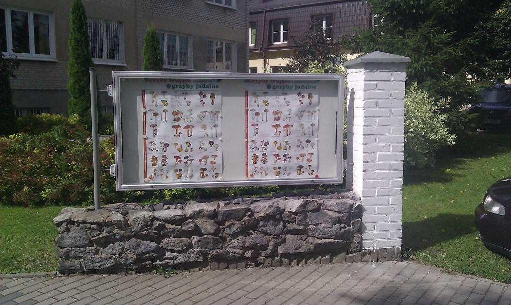 Zewnętrzna gablota naścienna, przymocowana do słupków, z drzwiami przylgowymi podnoszonymi siłownikami, zamykana na dwa zamki, o eleganckim profilu, zapewniająca wodoszczelność.