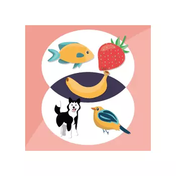 Matematyka i logika dla klas 1-8